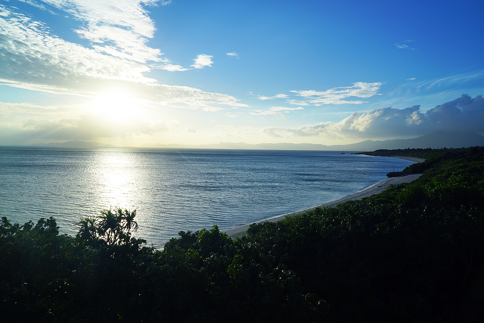 色彩能力者とは何 高める方法は 難しいテストに挑戦
